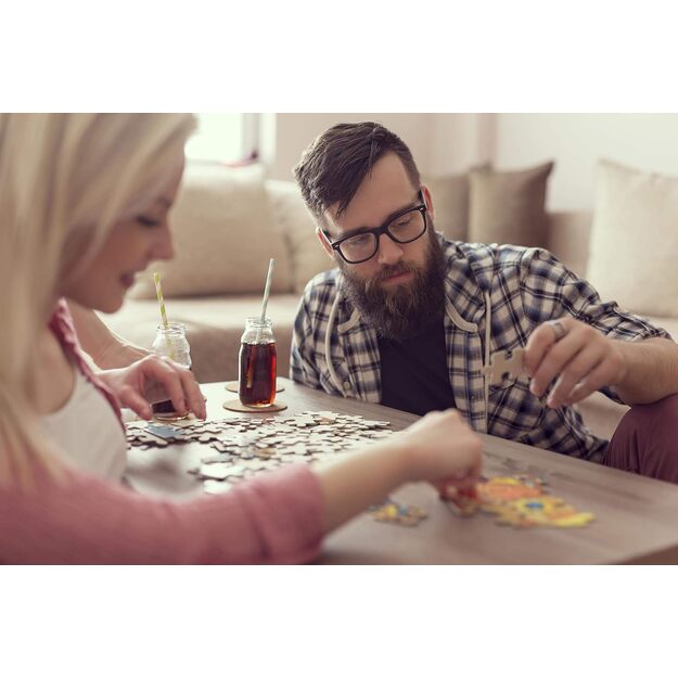 Dėlionė puzle piešimui 500 dalių apuokas 3