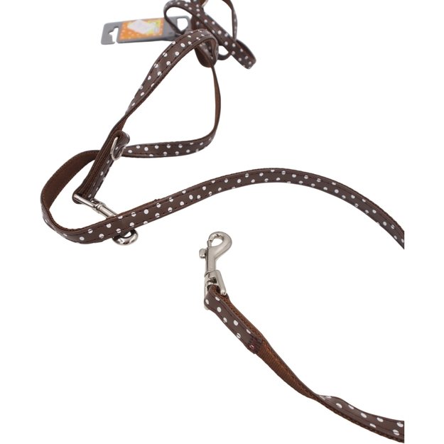 M Pavadėlis Hunter 1