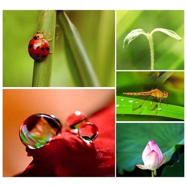 Objektyvų rinkinys 7