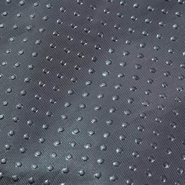 Guolis augintiniui 1