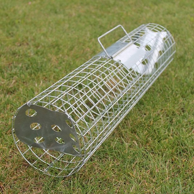 Narvas - vandens latakui 1