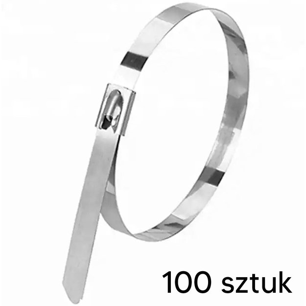 Kabelių raištelių rinkinys 100vnt.