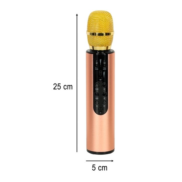 Belaidis karaokės mikrofonas K3