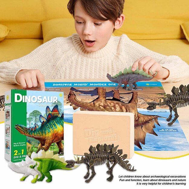 Archeologijos kasinėjimo rinkinys  dinozauras   stegosauras su akvarele 2