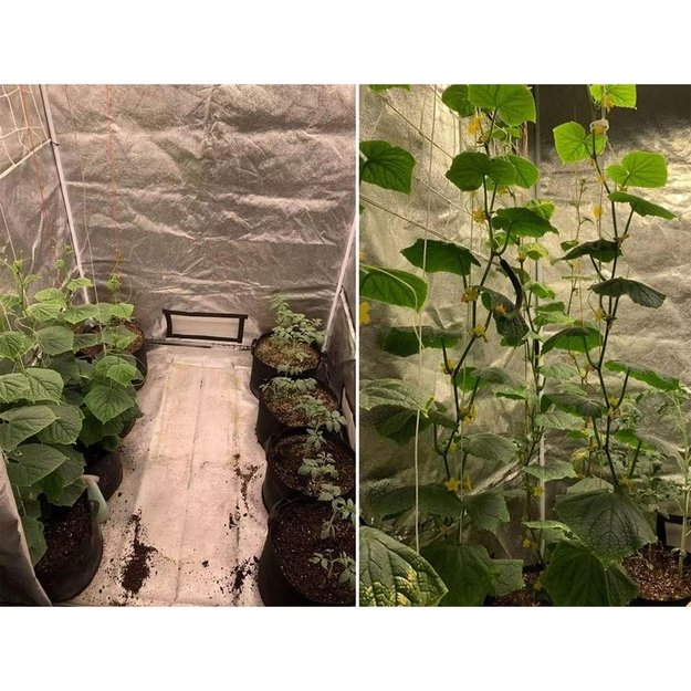 Palapinė Augalams  Grow tent  1