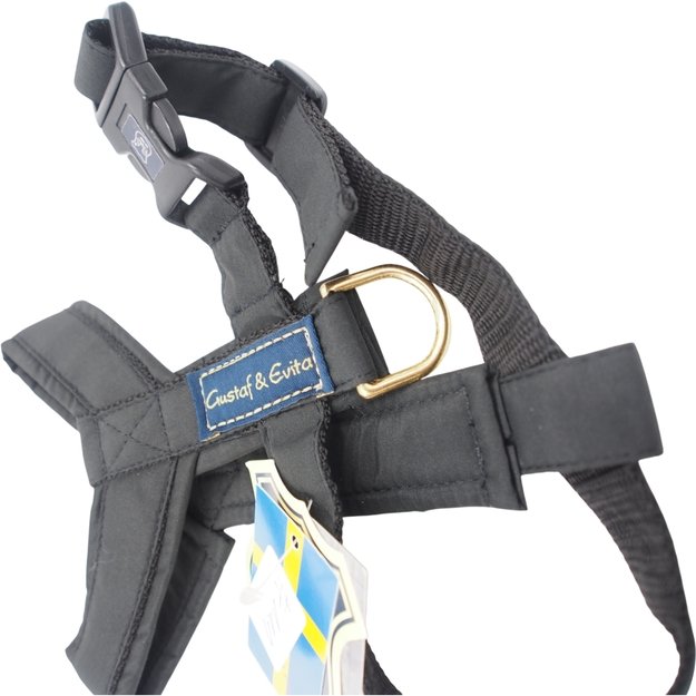 S Petne&scaron;os Gustaf & Evita 1