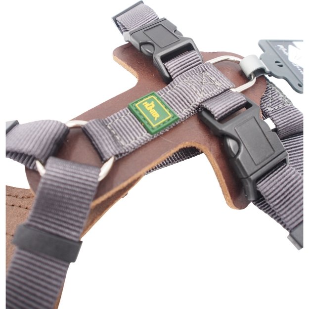 S Petne&scaron;os Hunter 1