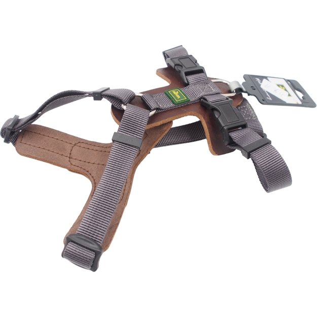 S Petne&scaron;os Hunter