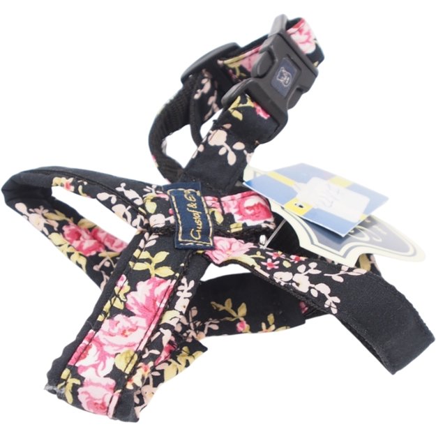 XS Petne&scaron;os &bdquo;Gustaf & Evita&ldquo;