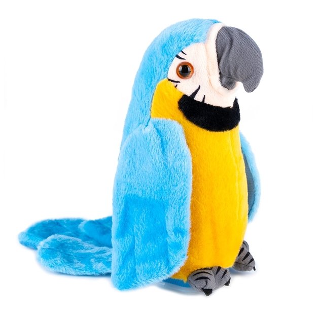 Pliušinė kalbanti papūga 1