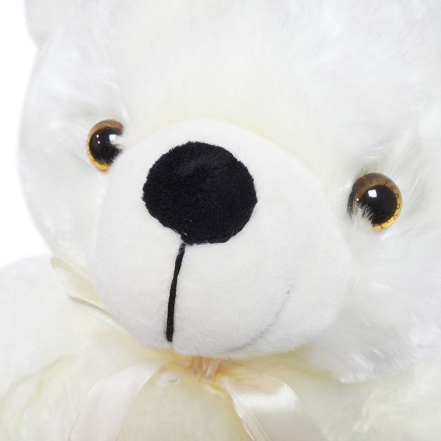 Šviečiantis pliušinis meškiukas 2