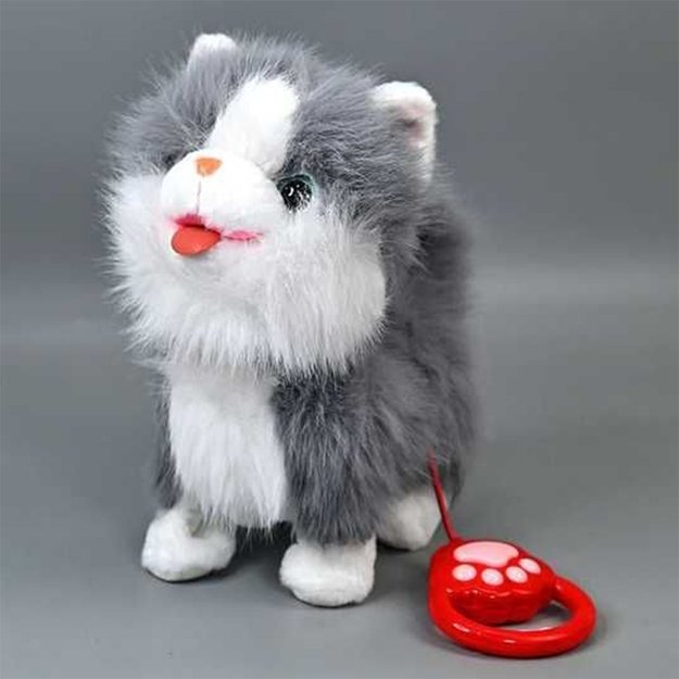 Interanktyvus kačiukas 1