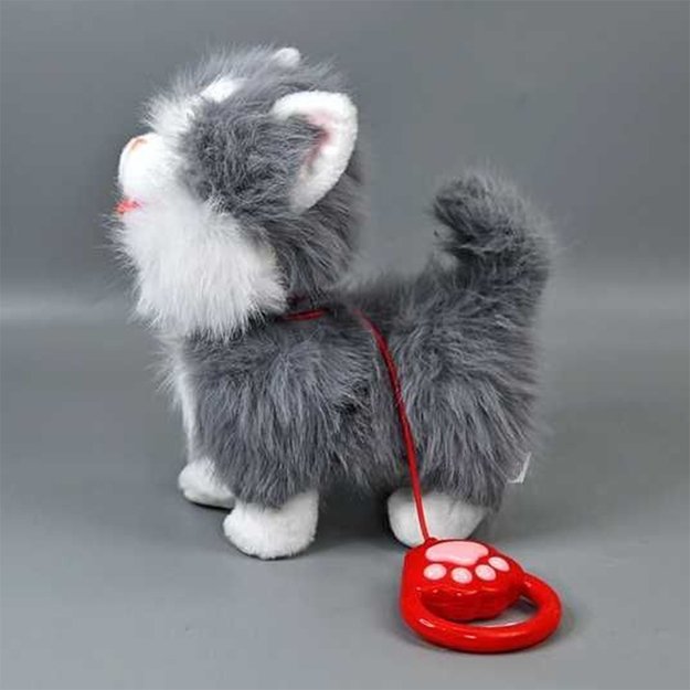 Interanktyvus kačiukas 2