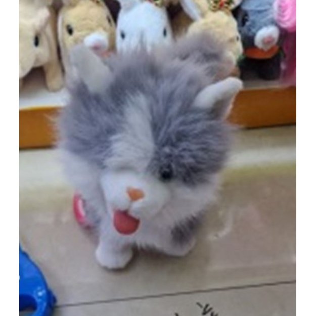 Interanktyvus kačiukas