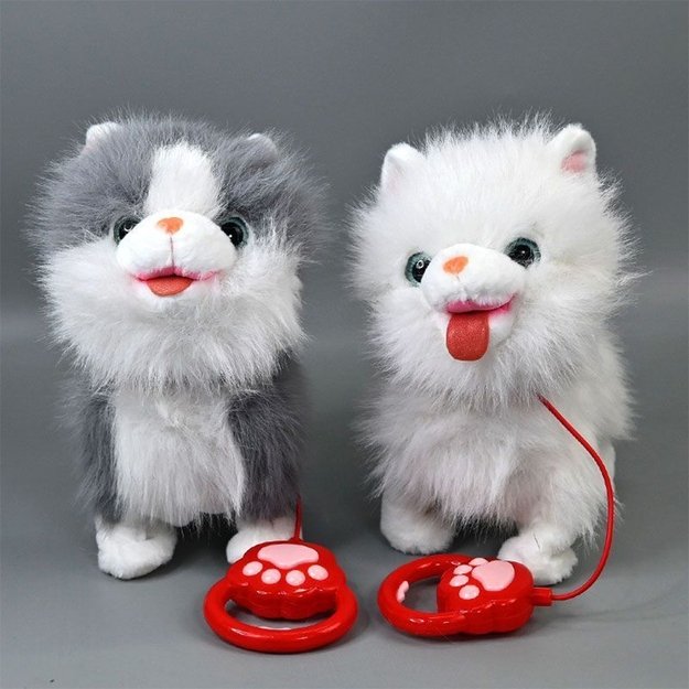 Interanktyvus kačiukas 3