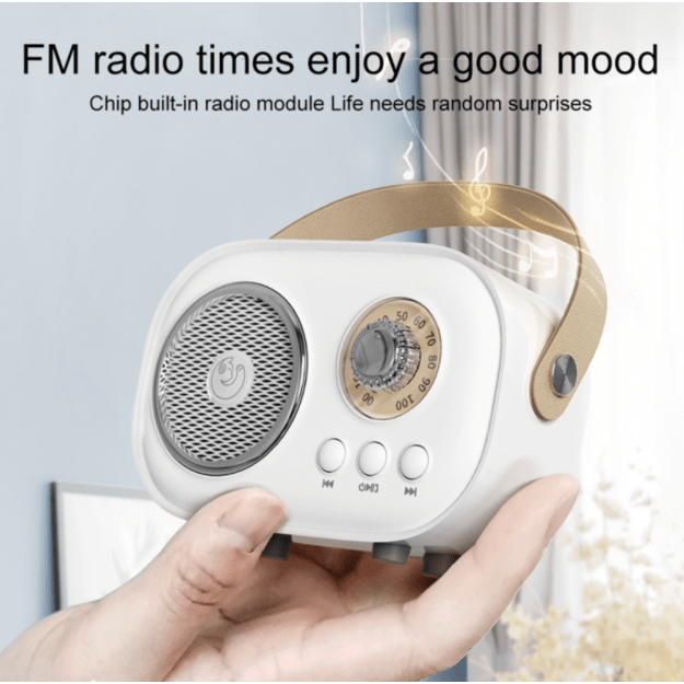 Karaokės rinkinys  Premium Radio Edition mikrofonas + bevielė kolonėlė 2