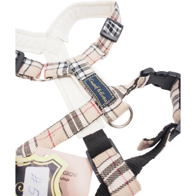 M Petne&scaron;os Gustaf & Evita 1