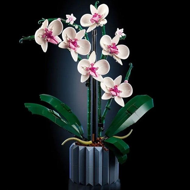 Konstruktorius „Orchidėjos”, 608 det.