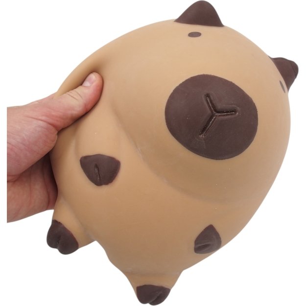 Pripučiama kapibara 2