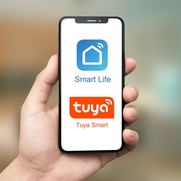 I&scaron;manioji WiFi rozetė 1