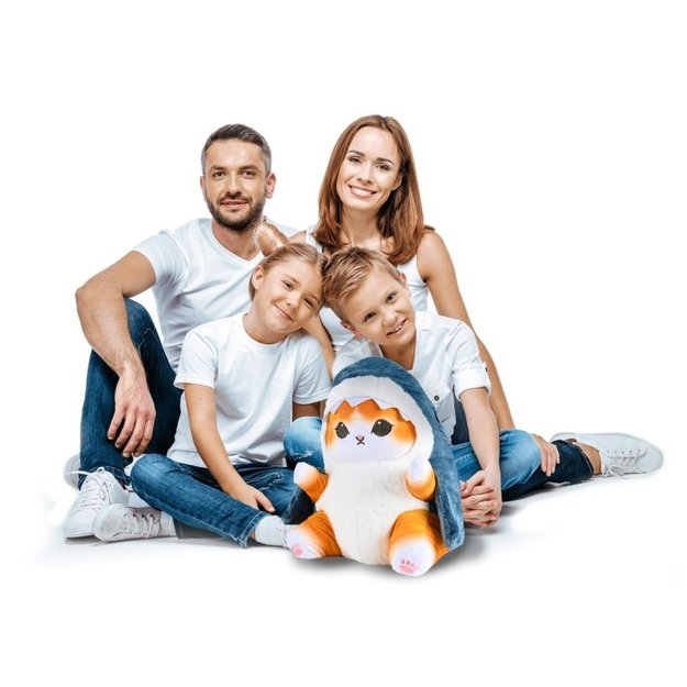 Minkšta pliušinė pagalvėlė – katinas rykliuko kostiume 1