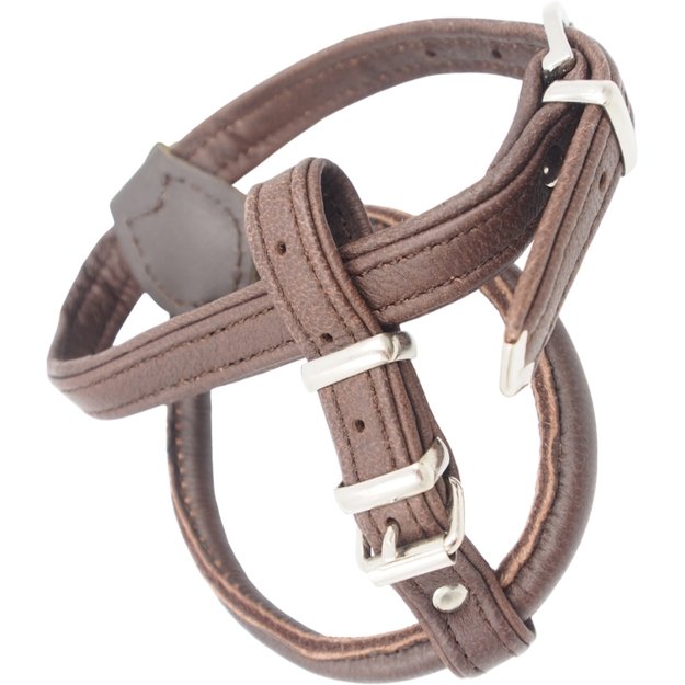 XS Petne&scaron;os Hunter 1