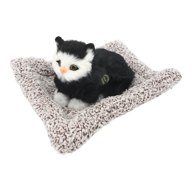 Dekarocija  šuniukas  3