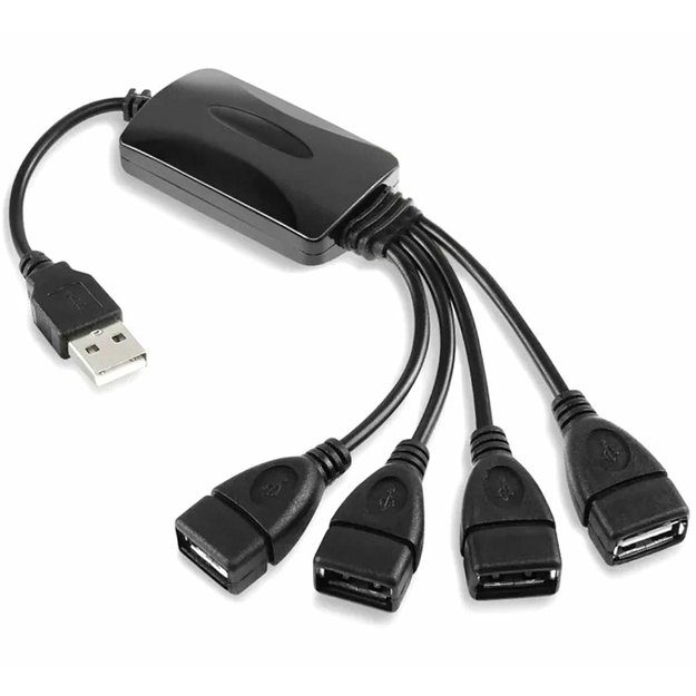 4 prievadų USB šakotuvas